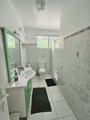 Douche, serviettes fournies, savon, papier de toilette