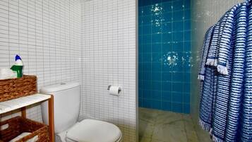 Shower, towels, toilet paper