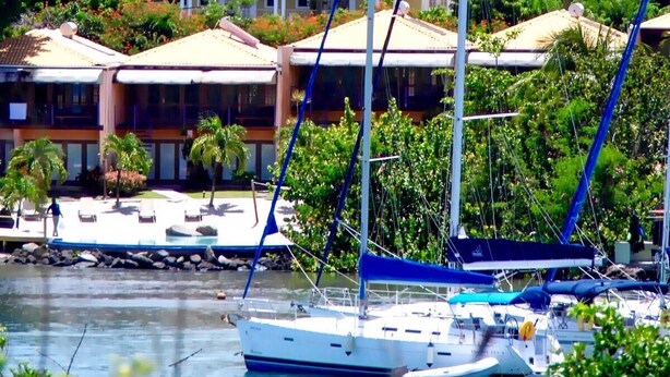 Un puerto deportivo con veleros amarrados, rodeado de exuberante vegetación y edificios residenciales.