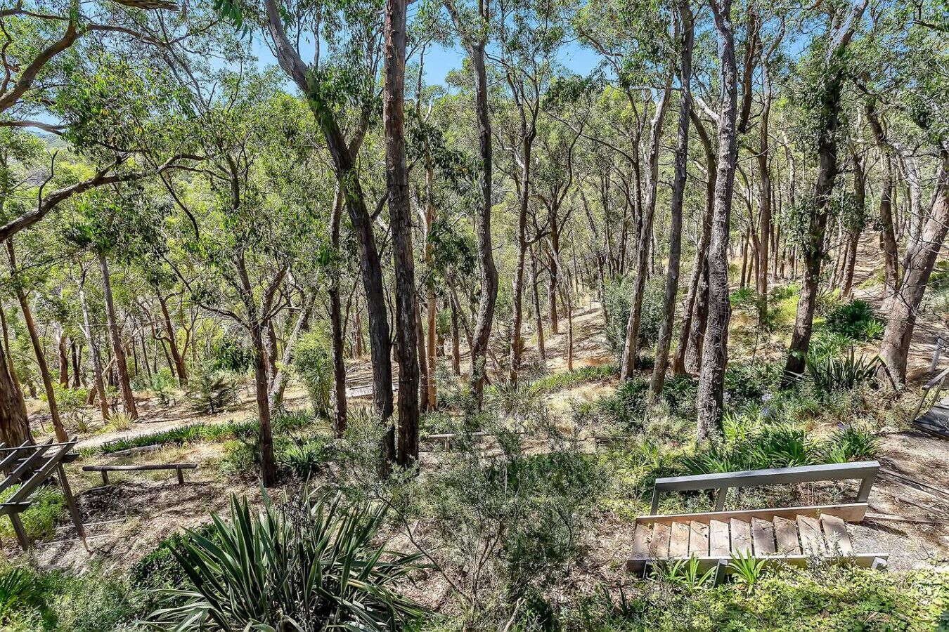 A forested area with a wooden bench and a dirt path.