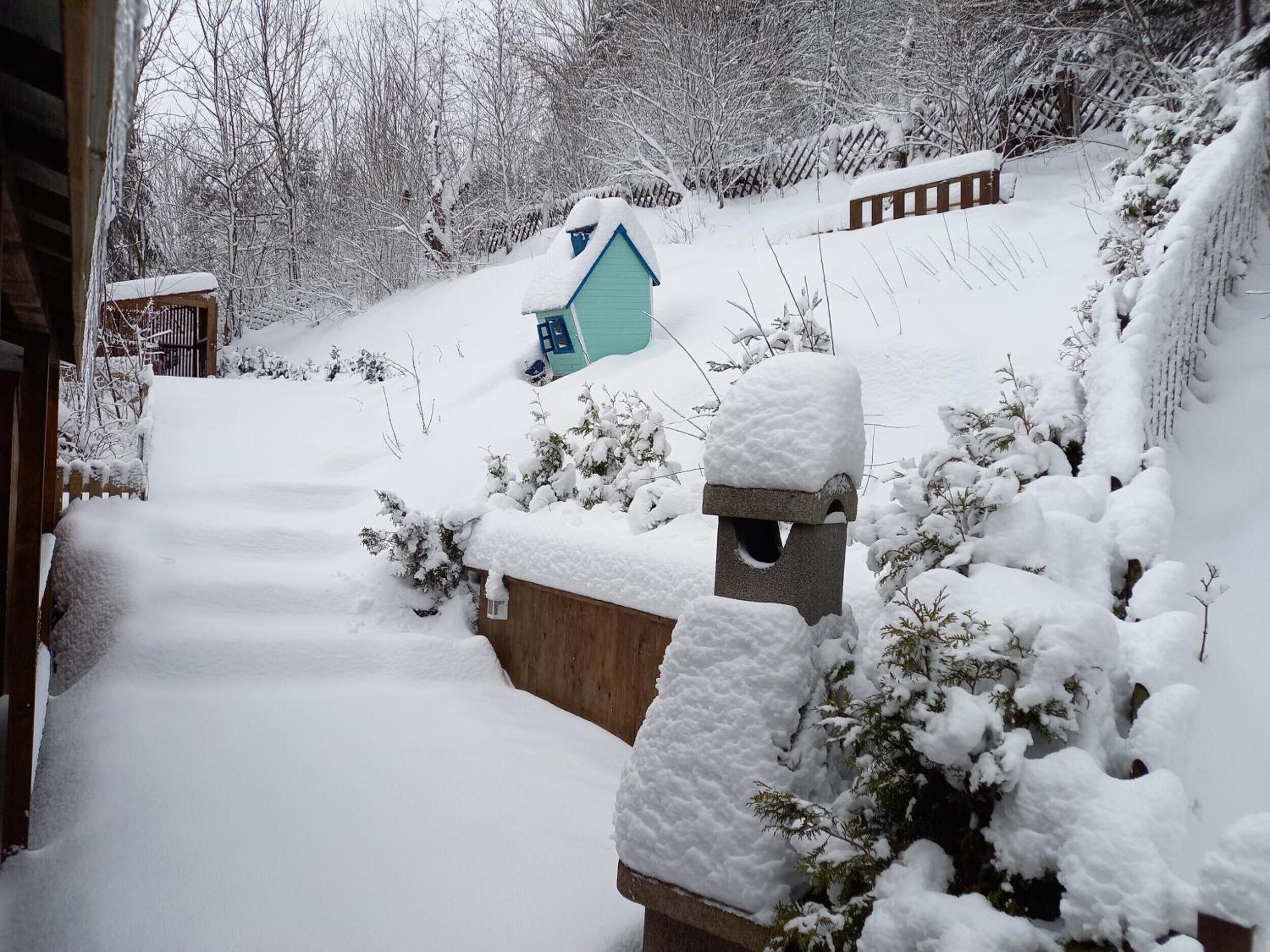 Schnee bedecktes Freigelände mit Holzzaun, kleiner blauer Schuppen und Vogelhaus aus Stein.