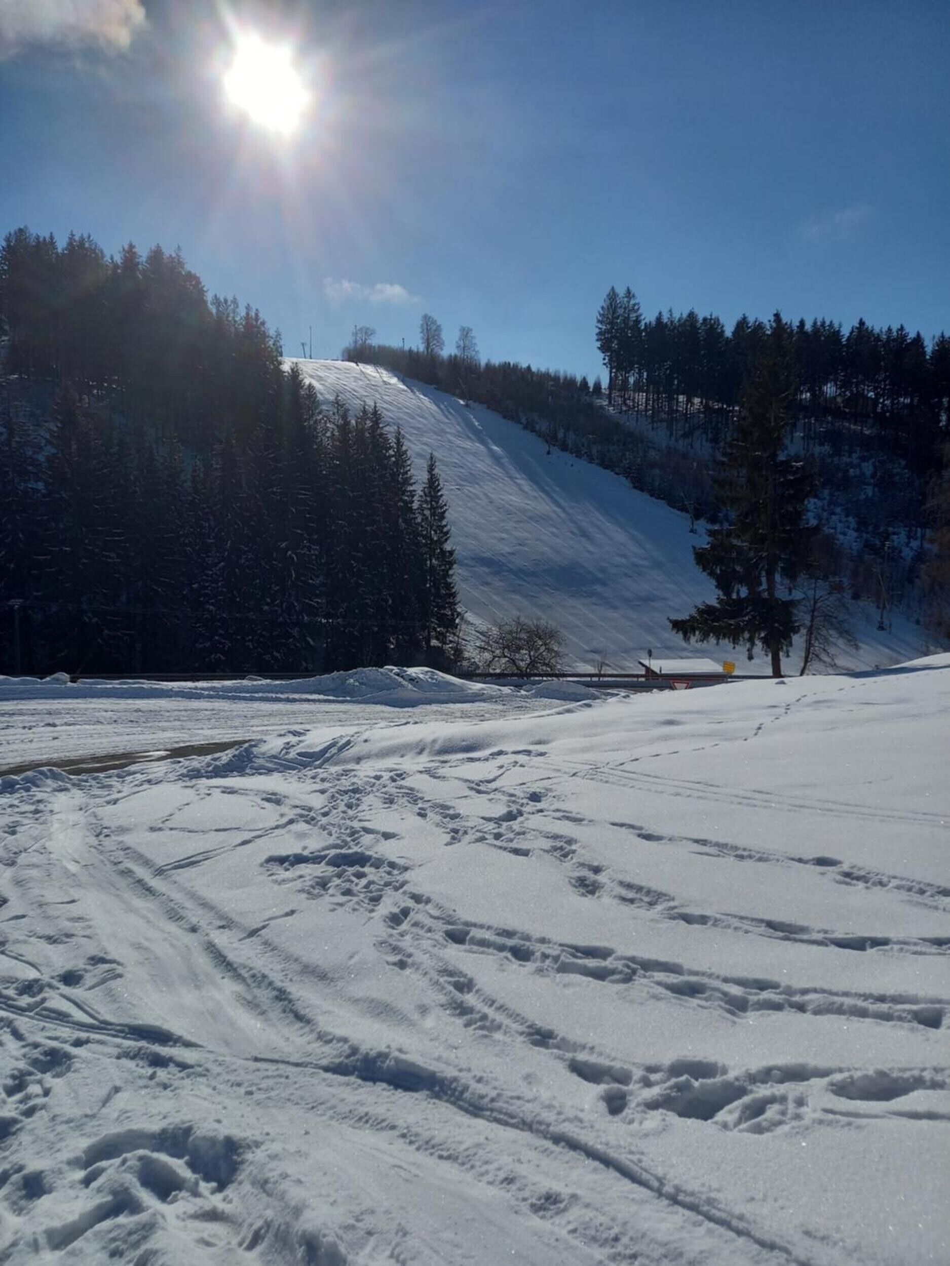 Un paysage enneigé, avec un ciel dégagé, une pente recouverte de neige et quelques arbres.