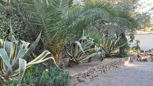 Een tuin met verschillende planten en een stenen muur.