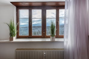Ein Zimmer mit Fensterblick auf eine verschneite Landschaft, Holzbalken über dem Fenster und zwei Blumentöpfe auf dem Fensterbrett.