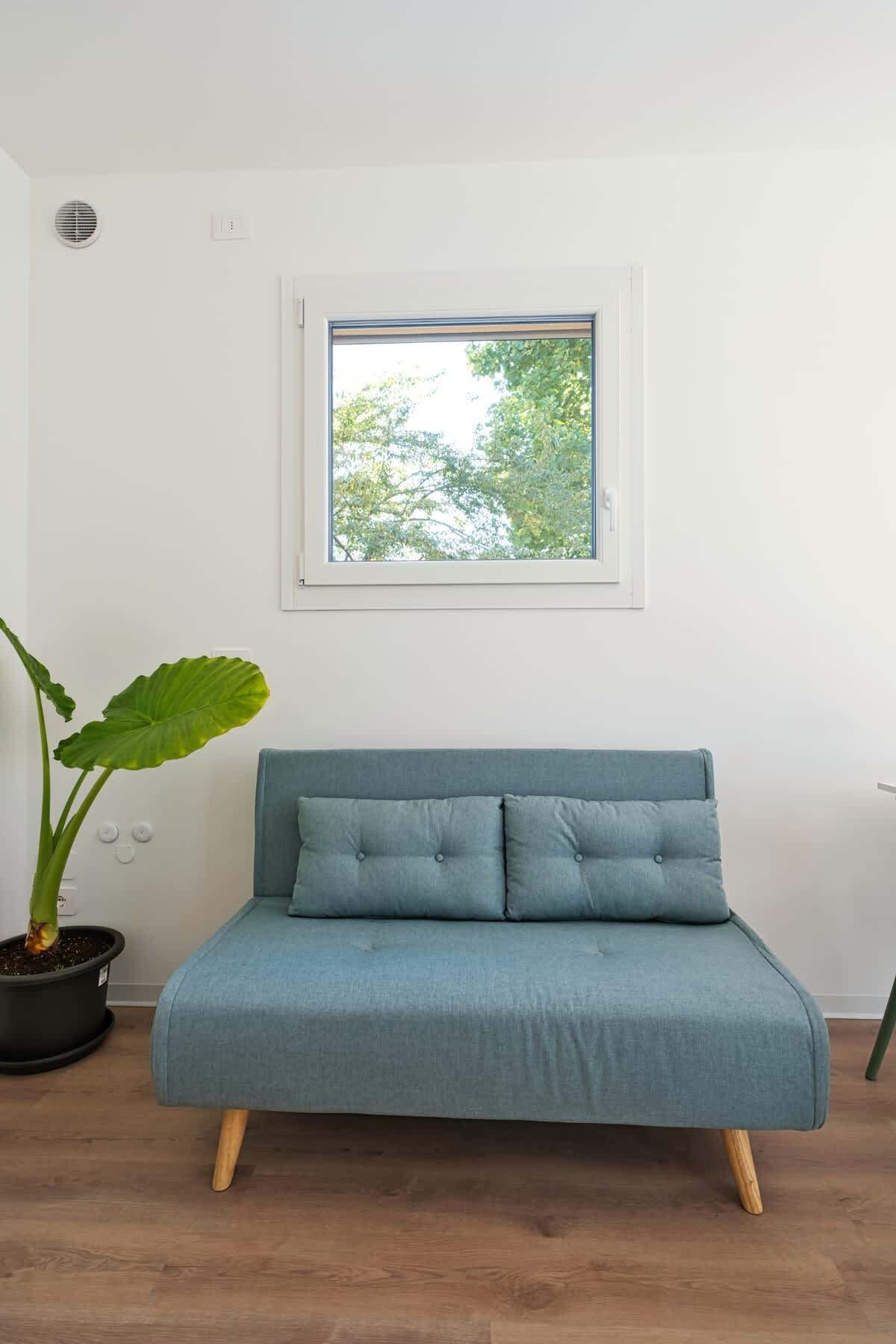 A room with a light blue sofa, a large potted plant, and a window with a view of trees.