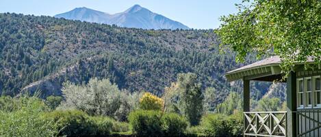 المنطقة المحيطة بالمنشأة