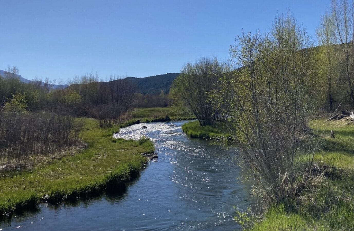 Ein Fluss, der durch eine natürliche Landschaft mit grasbewachsenen Ufern und Bäumen fließt.
