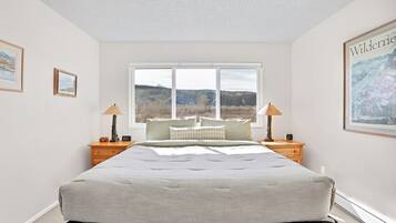 2 bedrooms, desk, iron/ironing board, WiFi