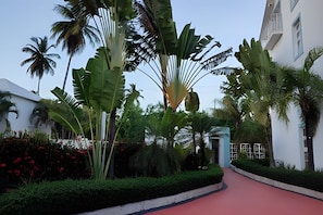 Property grounds - Blue Garden A202 (Punta Cana)