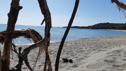 New Rental .Apartment F2 located in the regional park of Corsica.