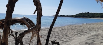 New Rental .Apartment F2 located in the regional park of Corsica.