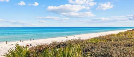 Playa en los alrededores