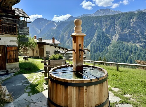 CASA-Niu Luxe discret, vue et pied des pistes