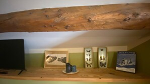 A wooden shelf with framed butterfly art, a book titled 'QUEY'RACINESE,' and a black object on a green wall. - CASA-Niu Luxe discret, vue et pied des pistes (Molines-en-Queyras)