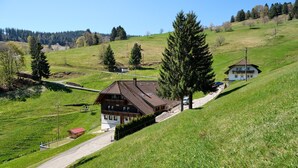 A hillside house with a sloped roof, a small attached structure, and a paved driveway.