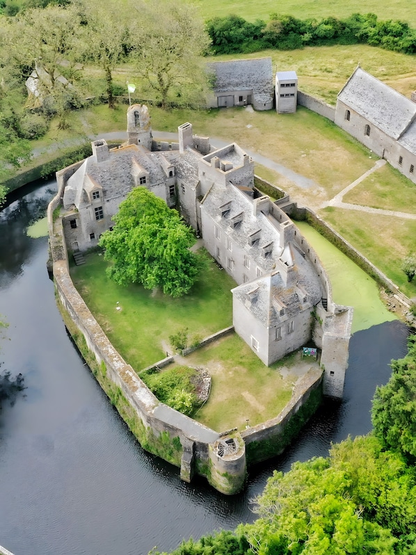 A historic castle with a moat, stone walls, and a large tree in the courtyard.