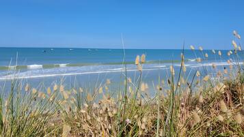 Una spiaggia nelle vicinanze
