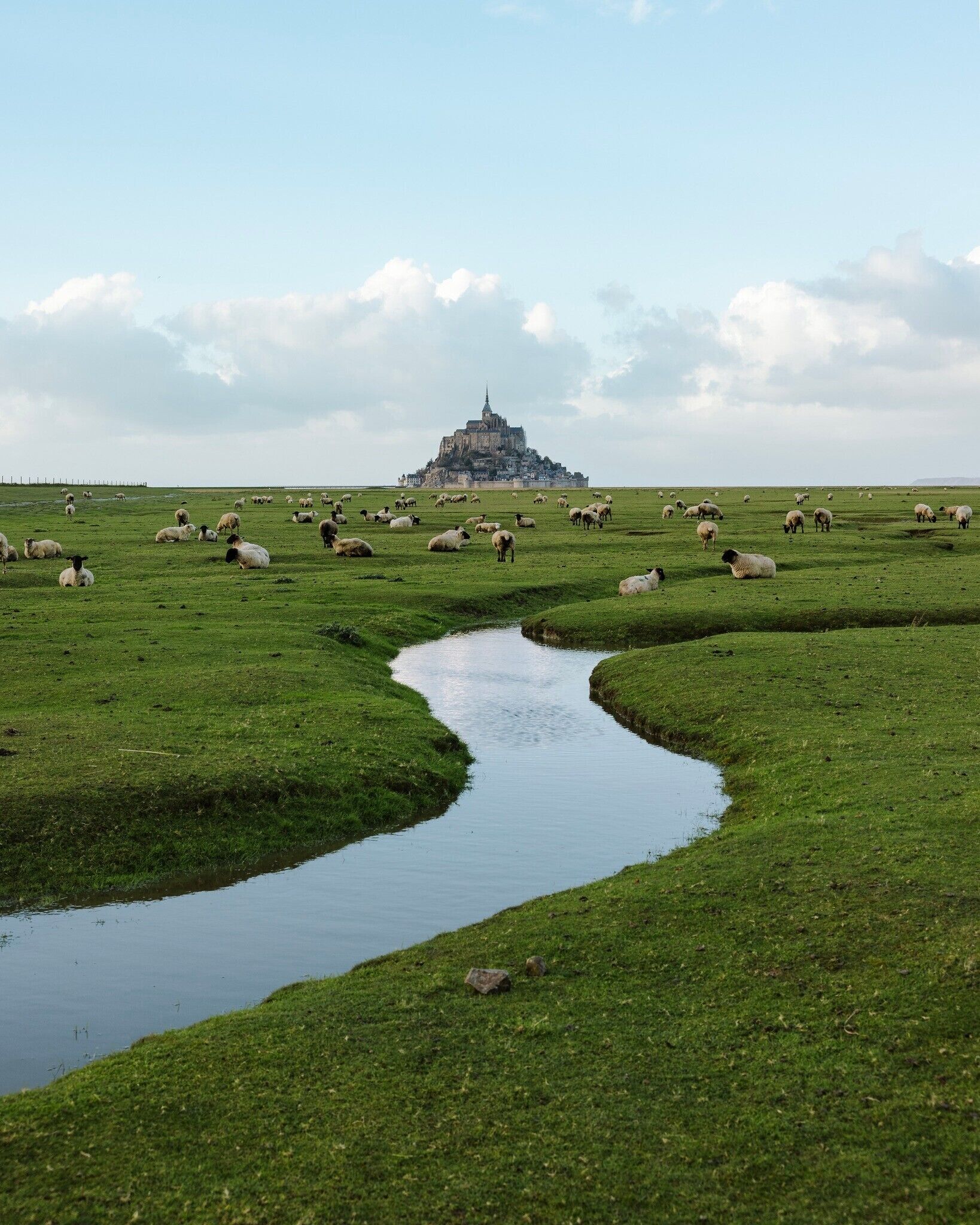 Ein grünes Feld mit einem kleinen Bach und schafenden Schafen, das zu einer entfernten, schlösserähnlichen Struktur führt.