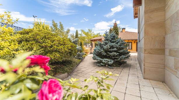 A garden pathway leading to a building with a tiled floor and a small tree.