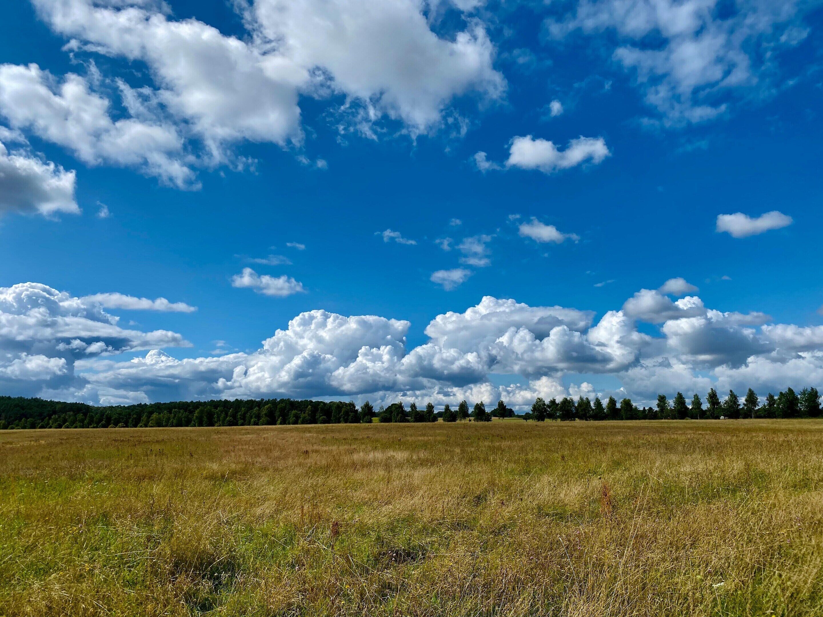 Ein weites Feld unter blauem Himmel mit vereinzelten Wolken.