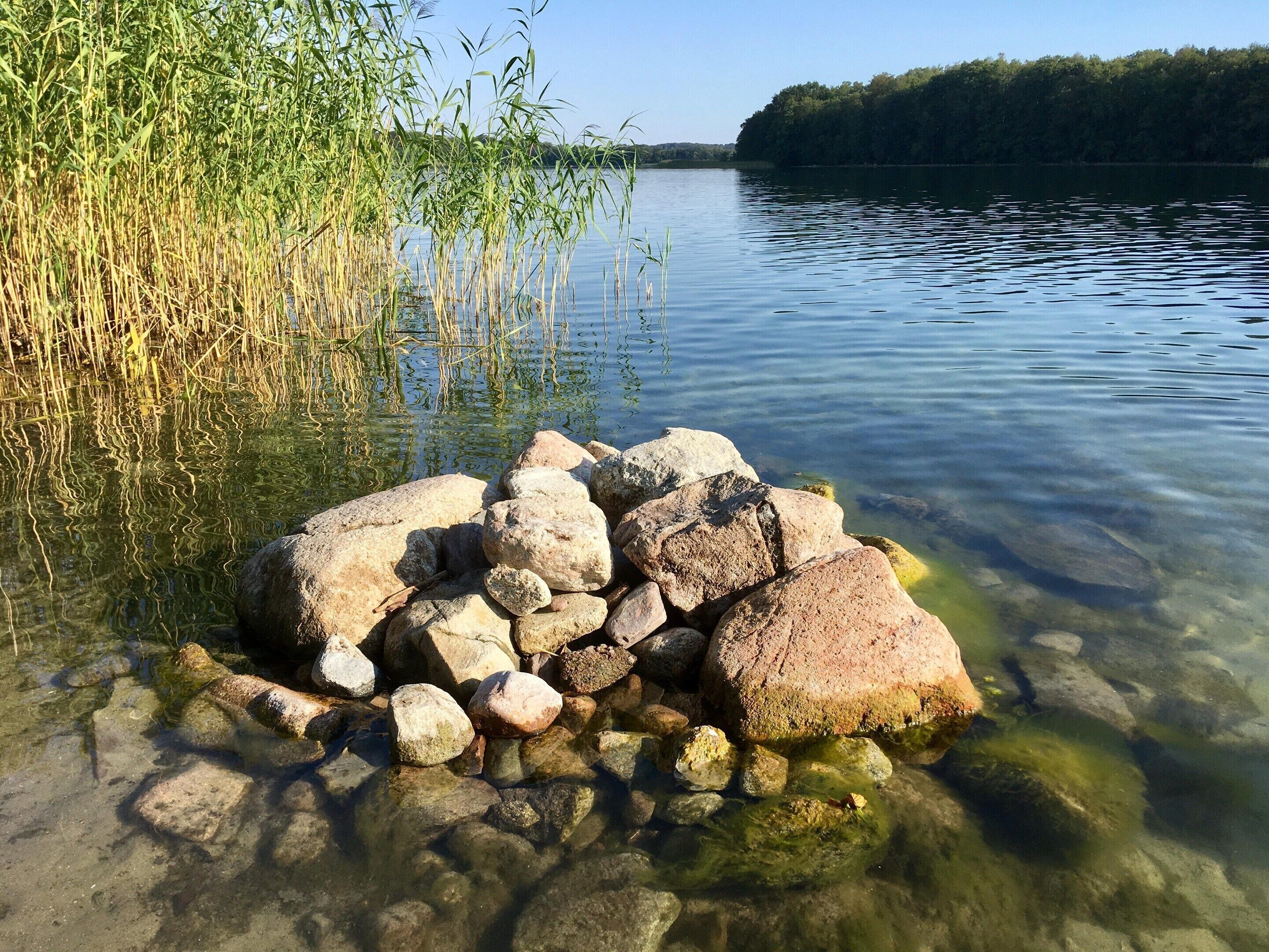 Un lago tranquilo con aguas cristalinas, rodeado de rocas y carrizos.