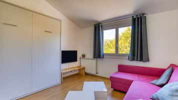 TV, DVD player
