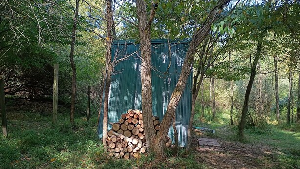 A rustic outdoor setting with a green shed, a stack of firewood, and a tire fire pit. - Tiny A frame cabin in the forest (Templeton)