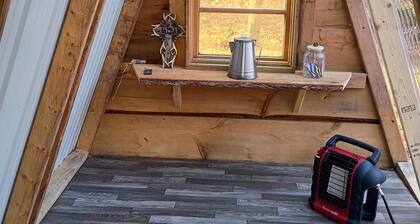 Tiny A frame cabin in the forest