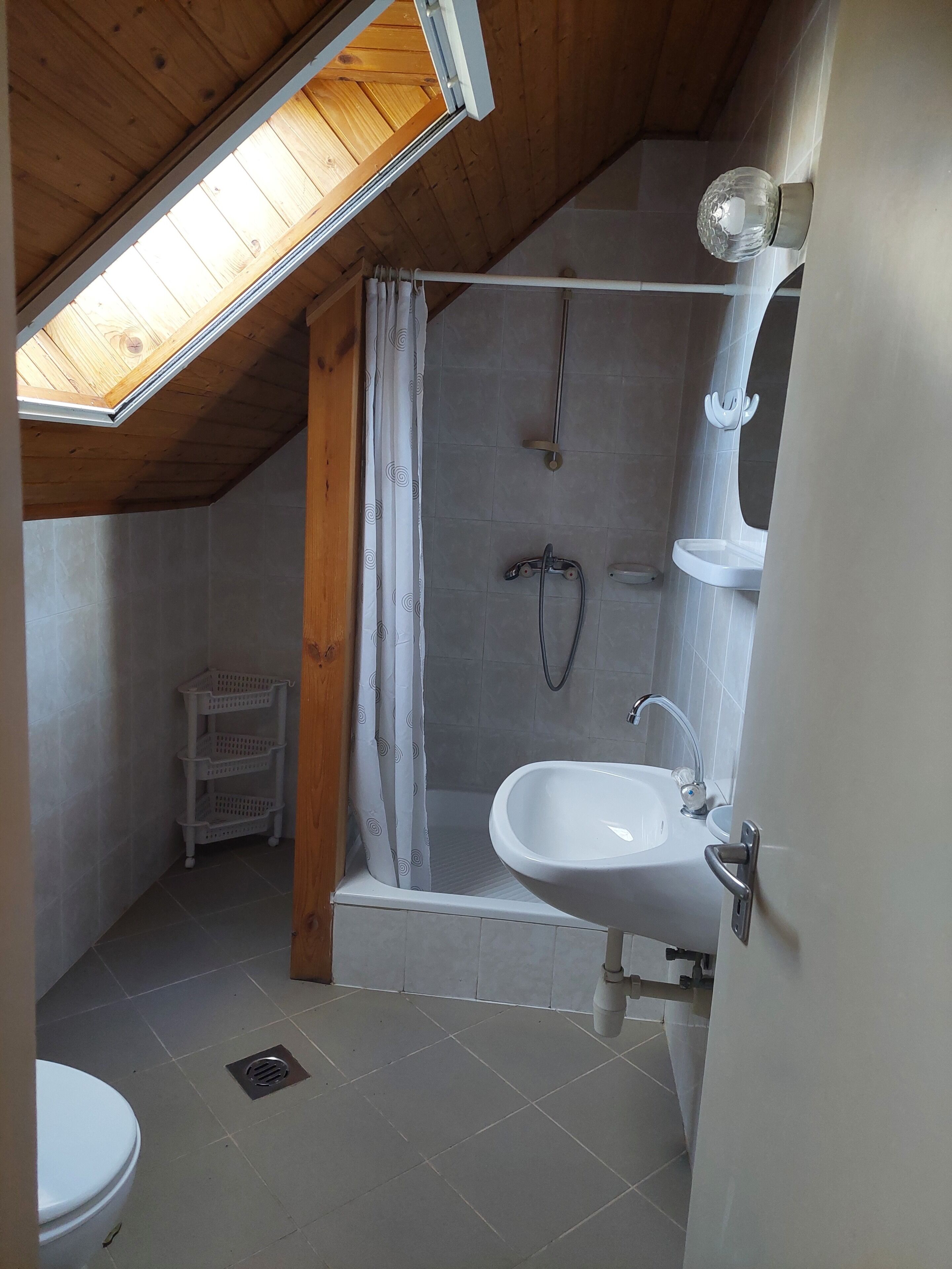 A small, compact bathroom with a skylight, a shower, a sink, and a toilet.
