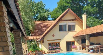 Family-friendly house with pool, 4 apartments, air conditioning, quiet location in ZamĂĄrdi.