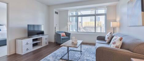 Fernseher, Arbeitsbereiche