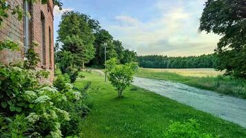 Área da propriedade