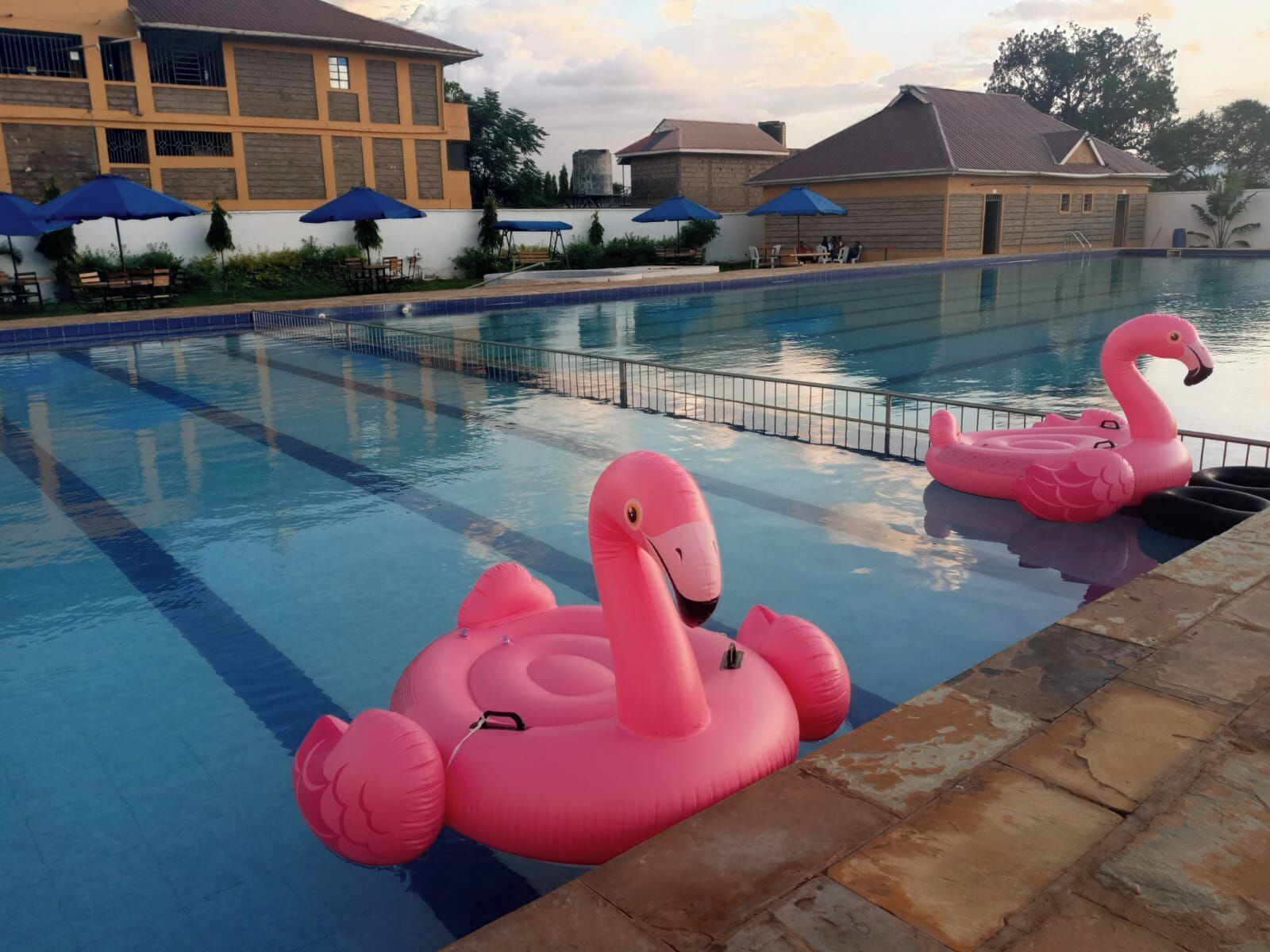 Piscina com boias de flamingo infláveis, área de estar externa e um edifício com fachada amarela.