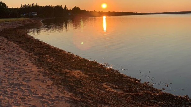 A calm lake at sunset with a sandy beach and a forest in the background. - Morrison’s Beach Road Island Retreat (Georgetown)