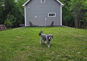 Áreas de la propiedad