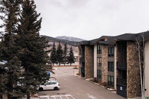 Un bâtiment moderne à la façade en pierre et aux grandes fenêtres, entouré de grands arbres à feuilles persistantes et d’un parking.