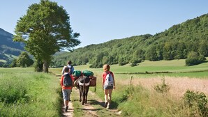 A group of people walking on a path in a green, hilly area with trees and a clear sky. - Bed and Breakfast 'Chambre Bleue - Ostau La Lutz' with Shared Terrace, Shared Garden and Wi-Fi (Saint-Germain-de-Calberte)