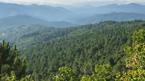 A mountainous landscape with dense forest coverage. - Bed and Breakfast 'Chambre Bleue - Ostau La Lutz' with Shared Terrace, Shared Garden and Wi-Fi (Saint-Germain-de-Calberte)