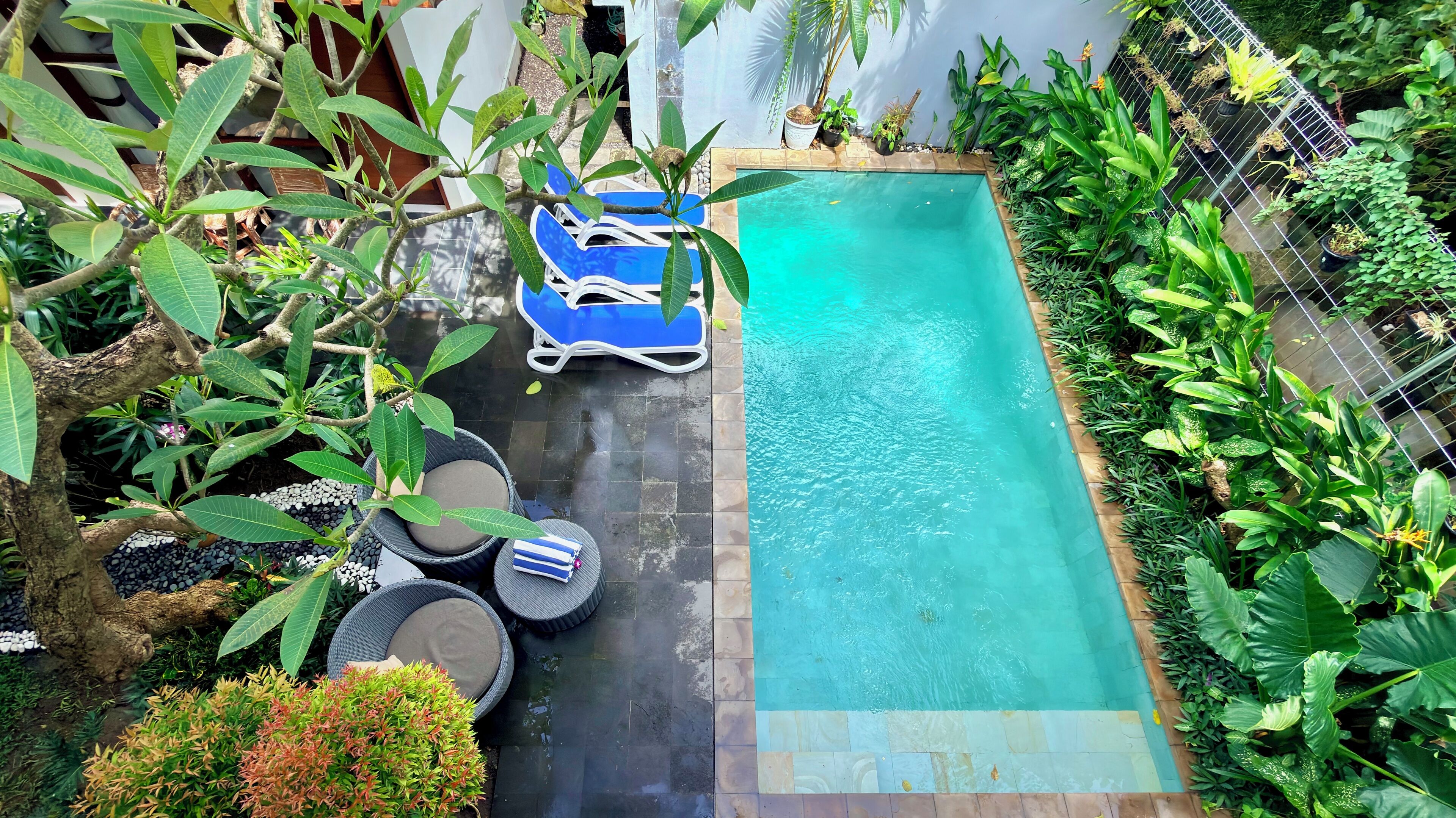 A small pool with a tiled edge, surrounded by lush greenery and potted plants.