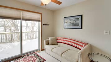 TV, fireplace, books