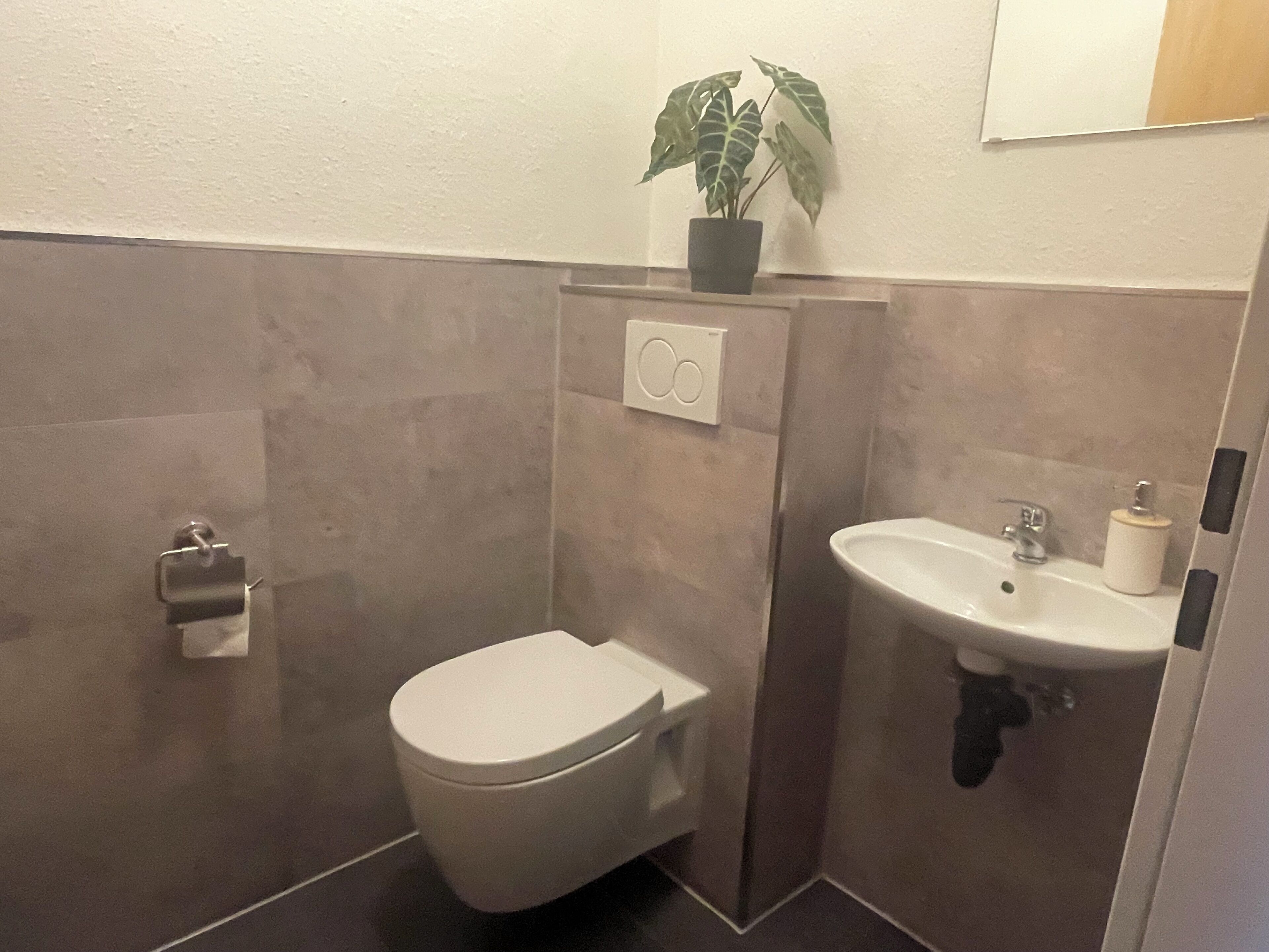 A small bathroom with a toilet, sink, and a potted plant.