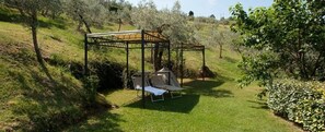 A gazebo with a metal frame and a roof, surrounded by a grassy area with a bench and a table. - Agriturismo Fiordaliso (Trevi)