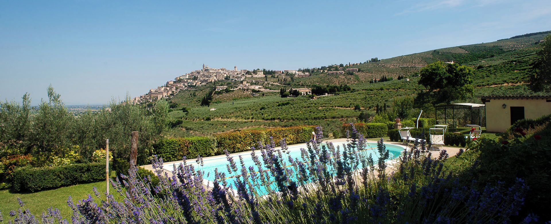 A pool surrounded by lavender plants, a hillside town in the background, and a clear sky.