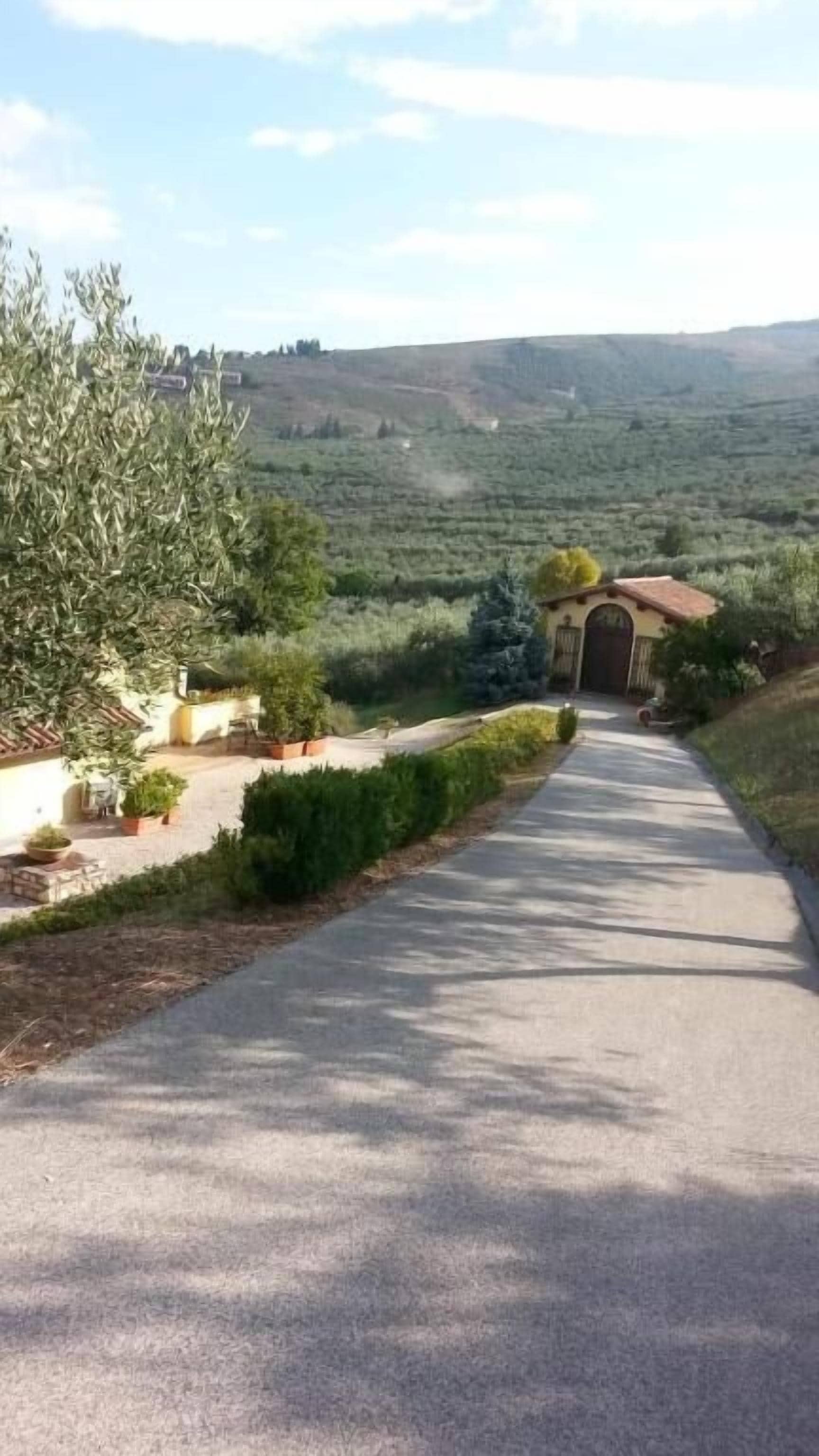 Un camí pavimentat que condueix a un edifici amb teulada vermella, envoltat de vegetació i amb turons al fons.