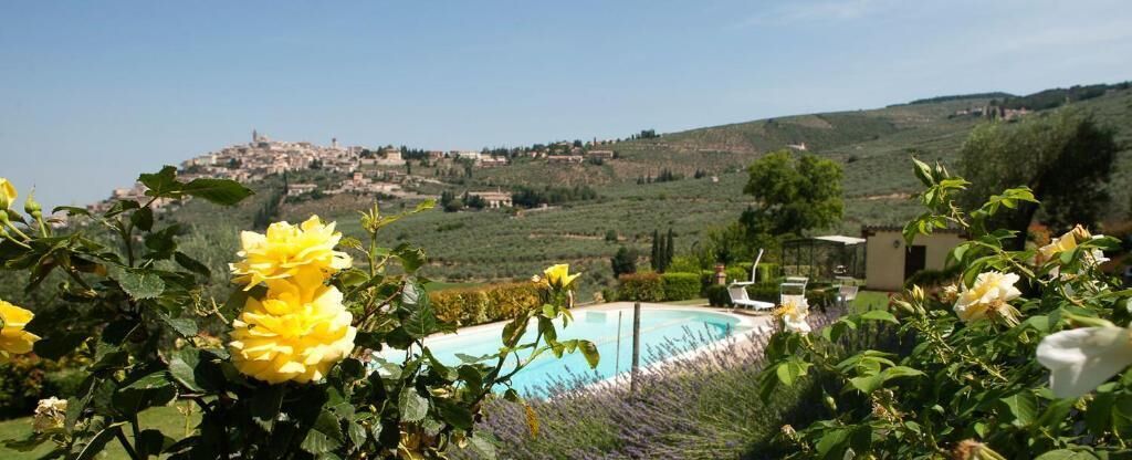 Seasonal outdoor pool, pool loungers