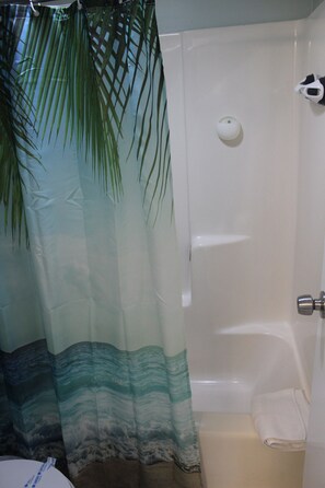Hair dryer, towels, soap, toilet paper
