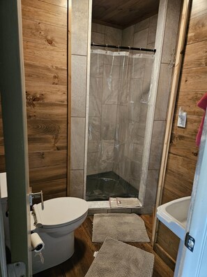 Shower, towels, toilet paper