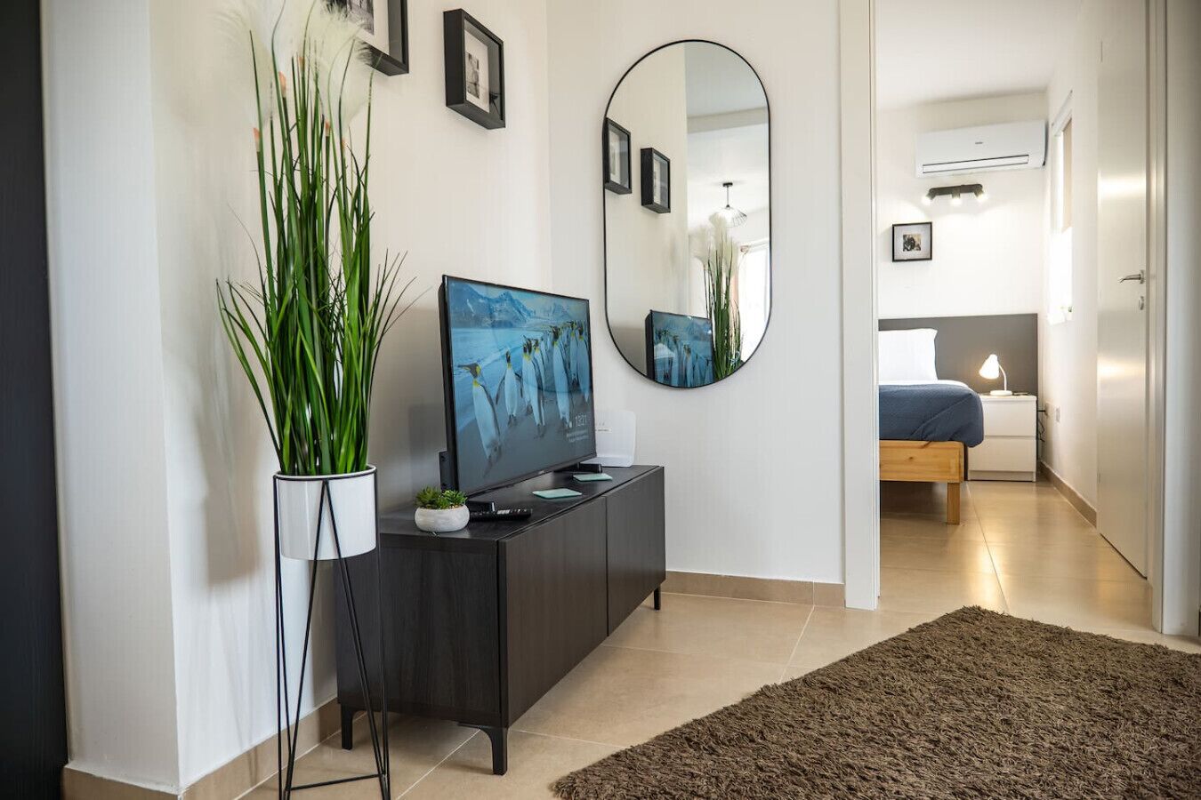 A modern living room with a flat-screen TV, a large mirror, and a potted plant.