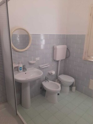 Douche, baignoire à jets, sèche-cheveux, serviettes fournies