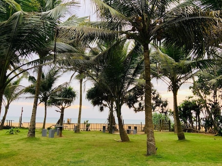 Áreas de la propiedad. inner pease hotel